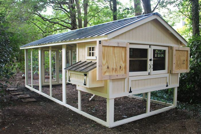 Diy hen house plans