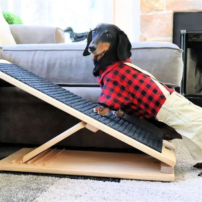 Diy dog bed ramp