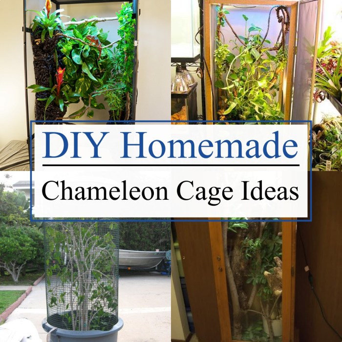 Diy chameleon cage