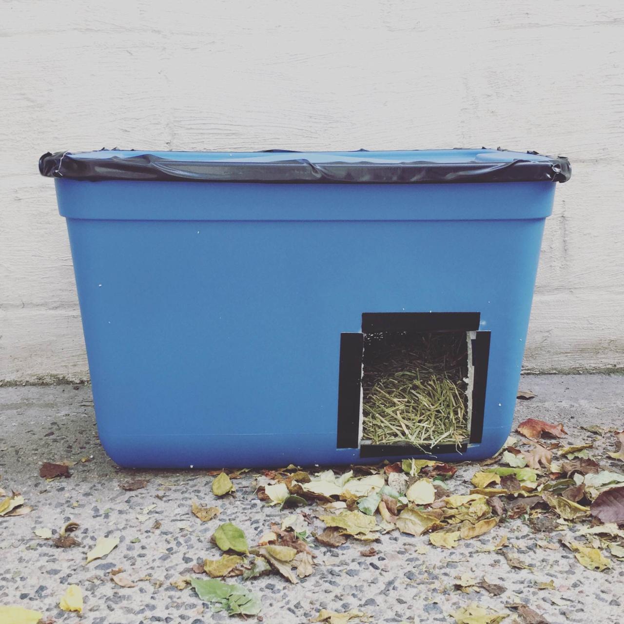 Diy feral cat winter shelter