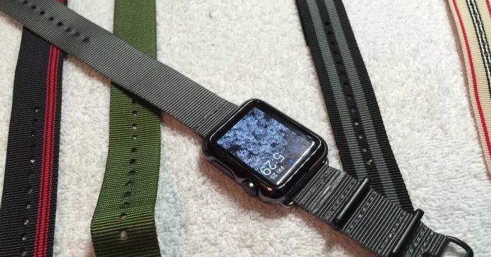 Diy apple watch band