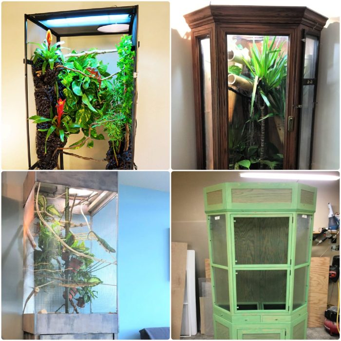 Chameleon cage enclosure cages diy terrarium habitat reptile iguana ideas chameleons make veiled pet enchanting pets care saved room choose