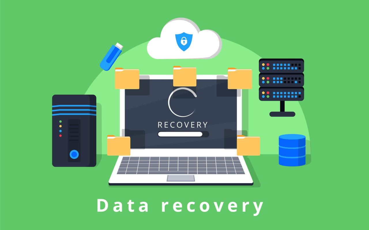 Software recovery data windows